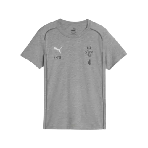 TSV Präsentationsshirt