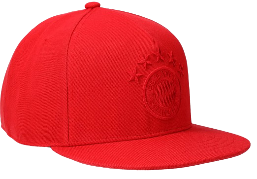FC Bayern Snapback Logo