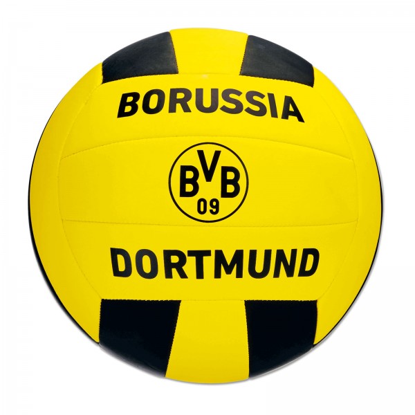 BVB-VOLLEYBALL