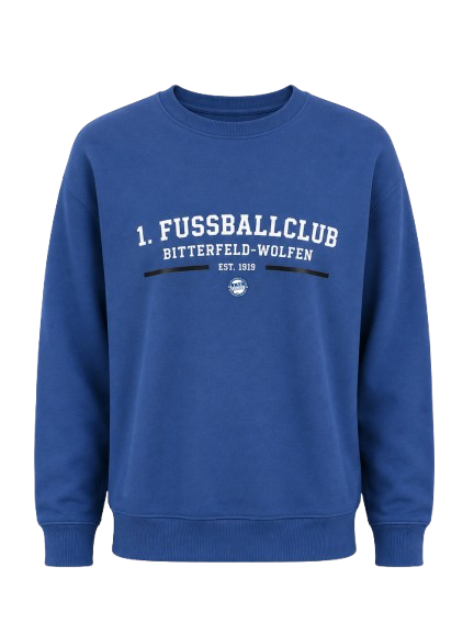 BIWO Sweatshirt Blau