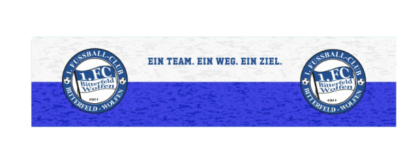 BIWO Autofanschal
