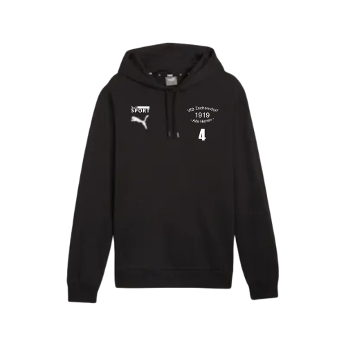 VfB Hoodie