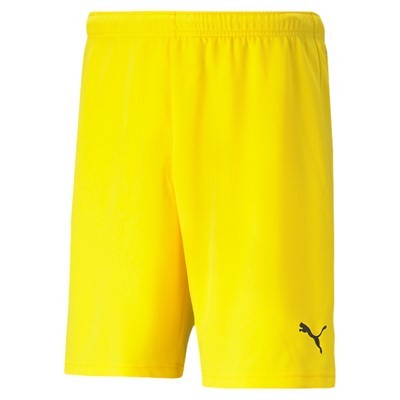 Puma teamRISE Short Jr