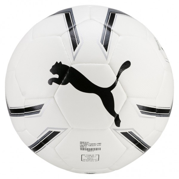 Pro Training 2 HYBRID ball