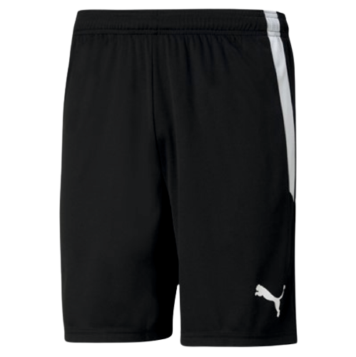 ZFC Spielhose
