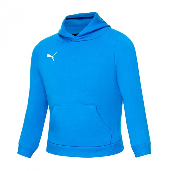 Puma teamGOAL 23 Causals Hoody Jr.