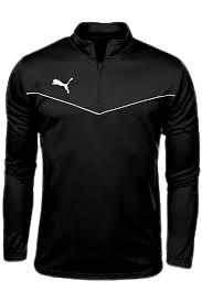 teamRISE 1/4 Zip Top puma Black-puma White