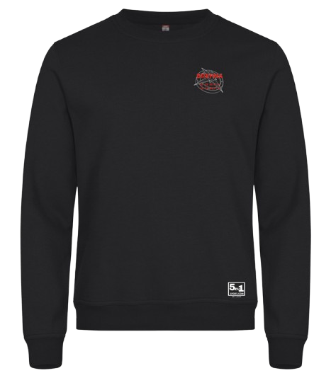 BS Sweatpullover