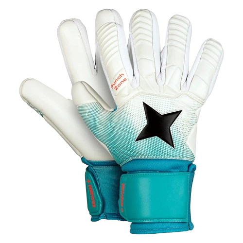 Derbystar TWH-Classico v23