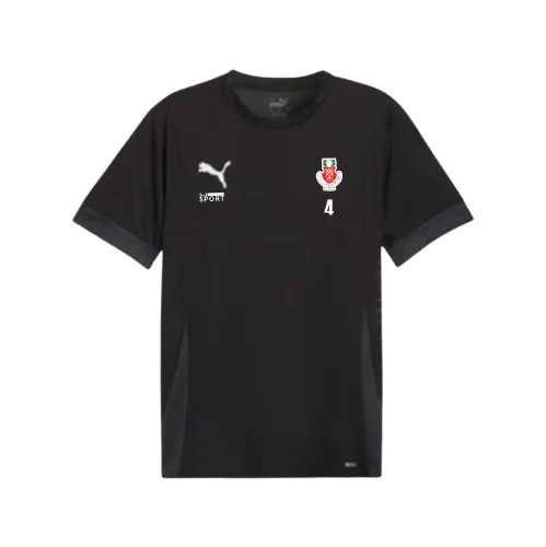 TSV Trainingsshirt