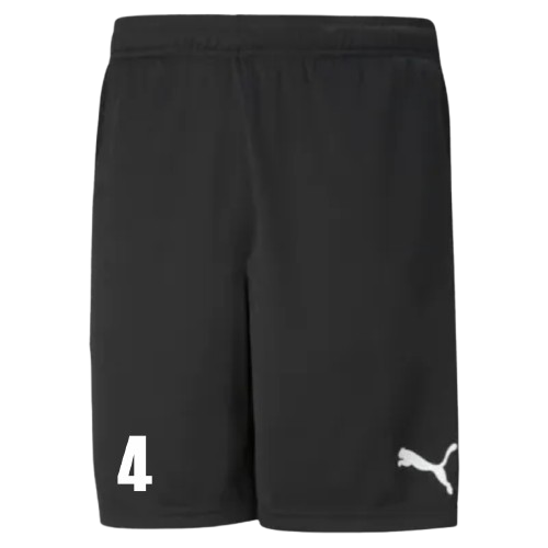 TSV Trainingsshorts