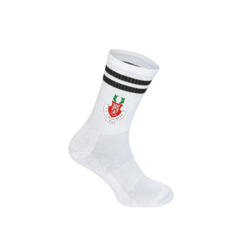TSV Tennissocken