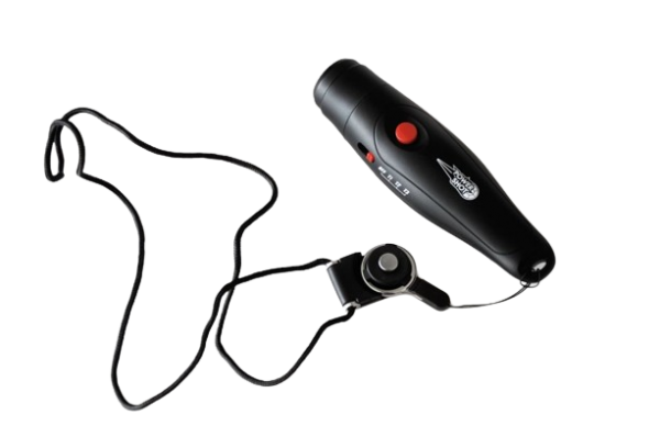 Elektronische Schiedsrichterpfeife