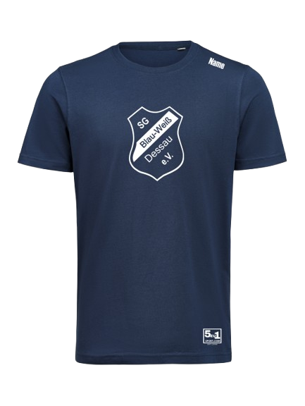 B-W Dessau Fanshirt